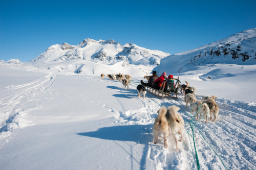 Trineo de perros en Aasiaat - Groenlandia