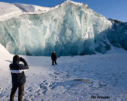 Inlandis, glaciares y Icebergs