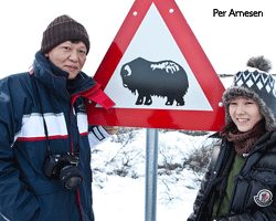 Gentes de Islandia