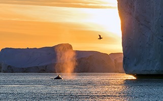 Viajes desde Reykjavik ideal para combinar con tu viaje por Islandia